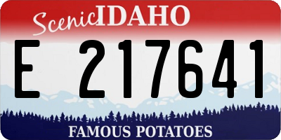 ID license plate E217641