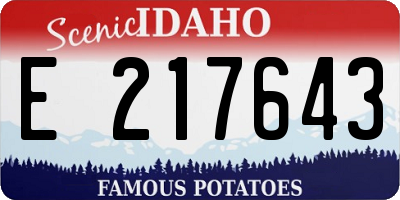 ID license plate E217643