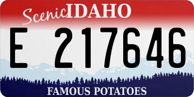 ID license plate E217646