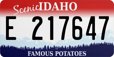 ID license plate E217647