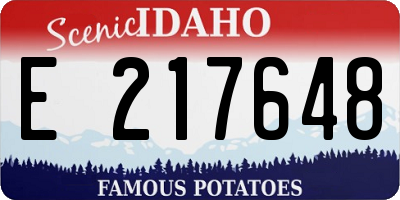 ID license plate E217648