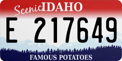 ID license plate E217649