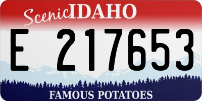 ID license plate E217653