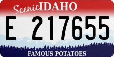 ID license plate E217655
