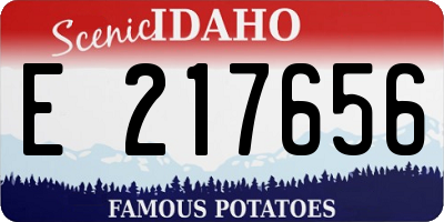 ID license plate E217656