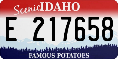ID license plate E217658
