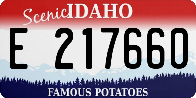 ID license plate E217660
