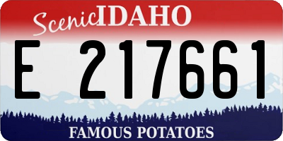 ID license plate E217661