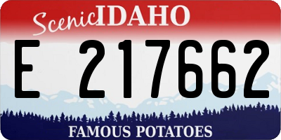 ID license plate E217662