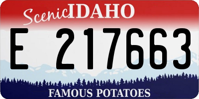 ID license plate E217663