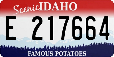 ID license plate E217664