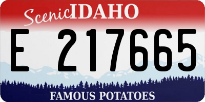 ID license plate E217665