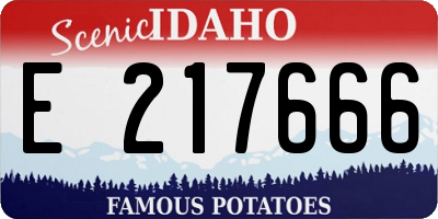 ID license plate E217666