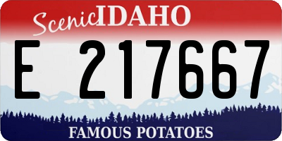ID license plate E217667