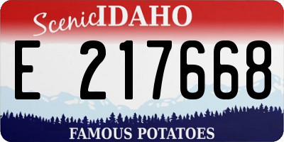 ID license plate E217668