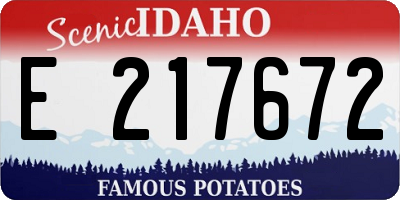 ID license plate E217672