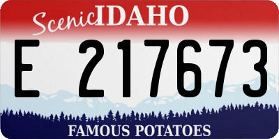 ID license plate E217673