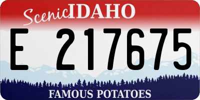 ID license plate E217675