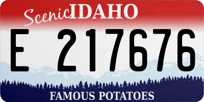 ID license plate E217676