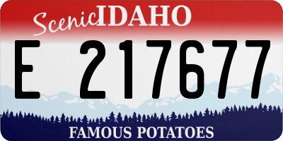 ID license plate E217677