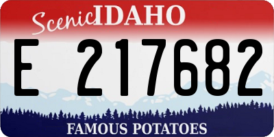ID license plate E217682