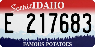 ID license plate E217683
