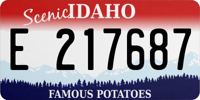 ID license plate E217687