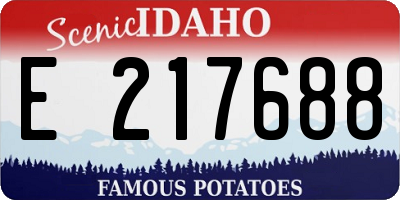 ID license plate E217688