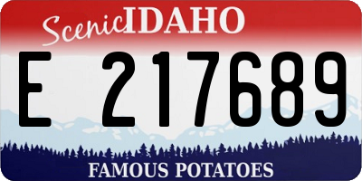 ID license plate E217689
