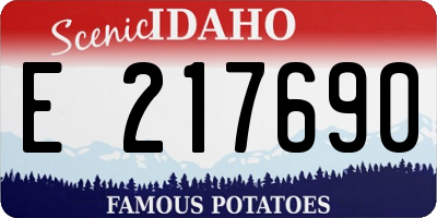 ID license plate E217690