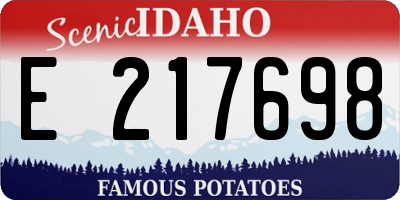 ID license plate E217698