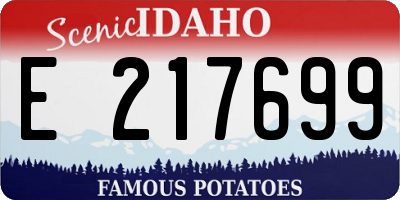 ID license plate E217699