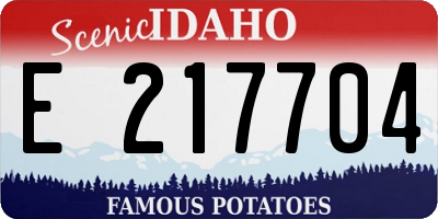 ID license plate E217704