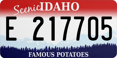 ID license plate E217705