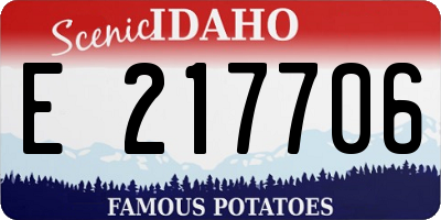 ID license plate E217706