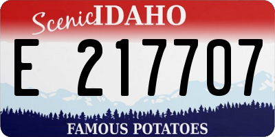 ID license plate E217707