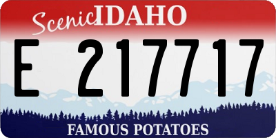 ID license plate E217717