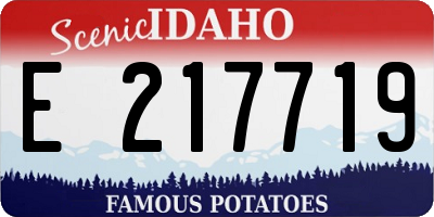 ID license plate E217719