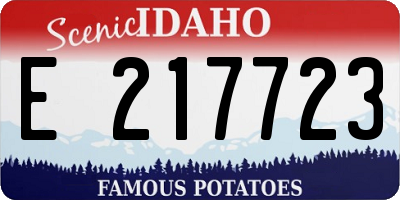 ID license plate E217723