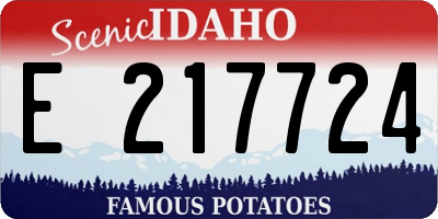 ID license plate E217724