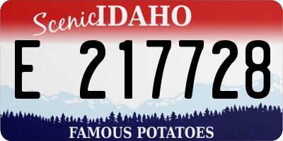 ID license plate E217728