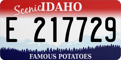 ID license plate E217729