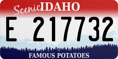 ID license plate E217732