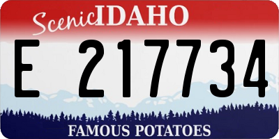 ID license plate E217734
