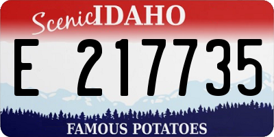 ID license plate E217735
