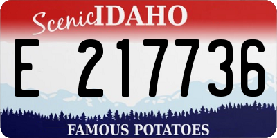 ID license plate E217736