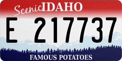 ID license plate E217737