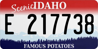 ID license plate E217738