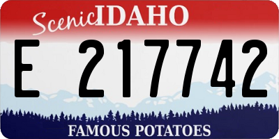 ID license plate E217742