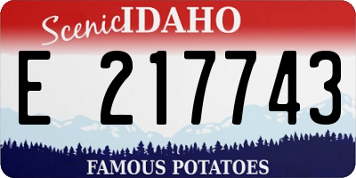 ID license plate E217743